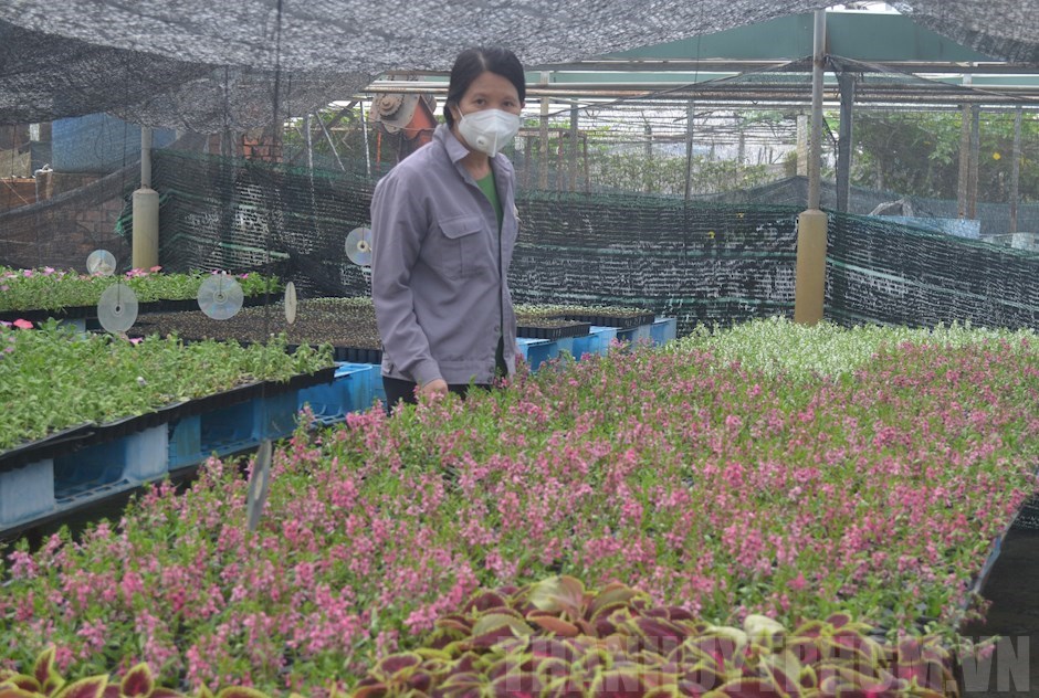 Thủ Đức phát huy vai trò của nông dân sản xuất, kinh doanh giỏi