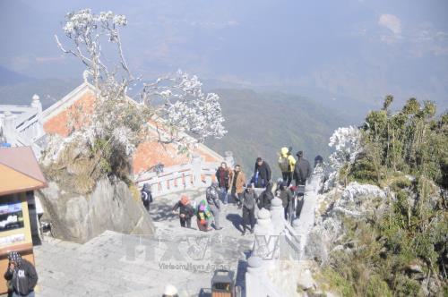 Sương muối tiếp tục phủ trắng đỉnh Fansipan