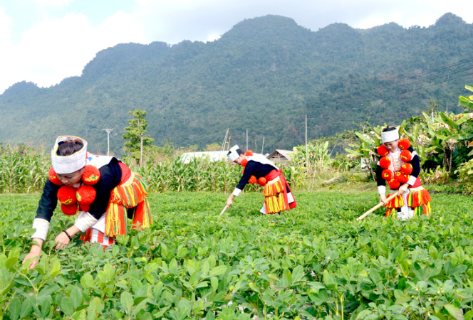 Tuyên Quang Người có uy tín “điểm tựa vững chắc của đồng bào dân tộc thiểu số