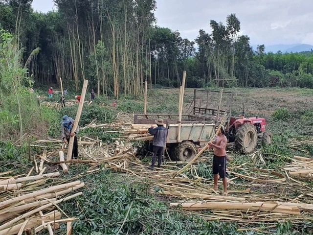 Khánh Hòa ghi nhận trên 190 ca sốt rét trong năm 2023