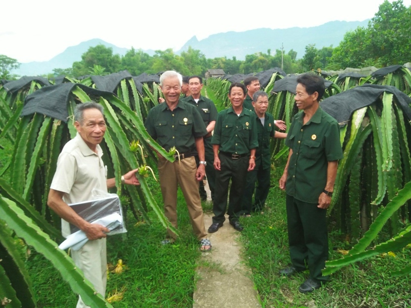 Người có uy tín tiên phong làm kinh tế giỏi