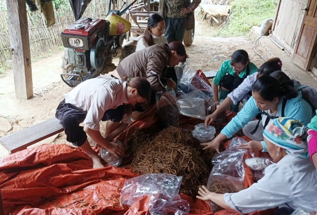 Cao Bằng Đào tạo nghề lao động nông thôn là “chìa khóa” phát triển nông thôn bền vững