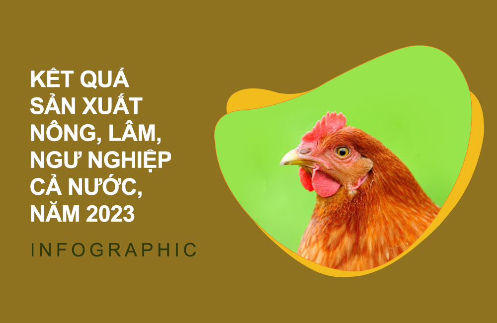 Kết quả sản xuất nông, lâm nghiệp và thủy sản cả nước năm 2023