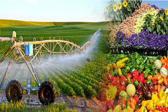 Phê duyệt Chiến lược phát triển trồng trọt đến năm 2030, tầm nhìn đến năm 2050