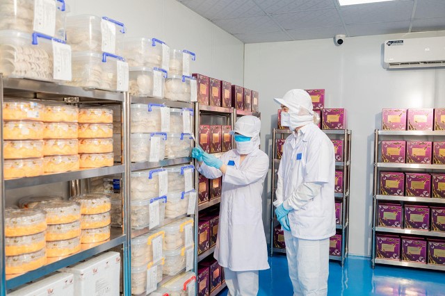 Lô tổ yến sào Việt Nam chính ngạch đầu tiên sang Trung Quốc bằng đường hàng không