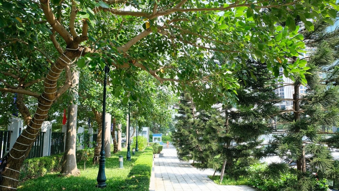 Miền Bắc tăng nhiệt trước khi chuyển rét vào ngày mai