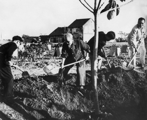 Ngày này năm xưa 11 1