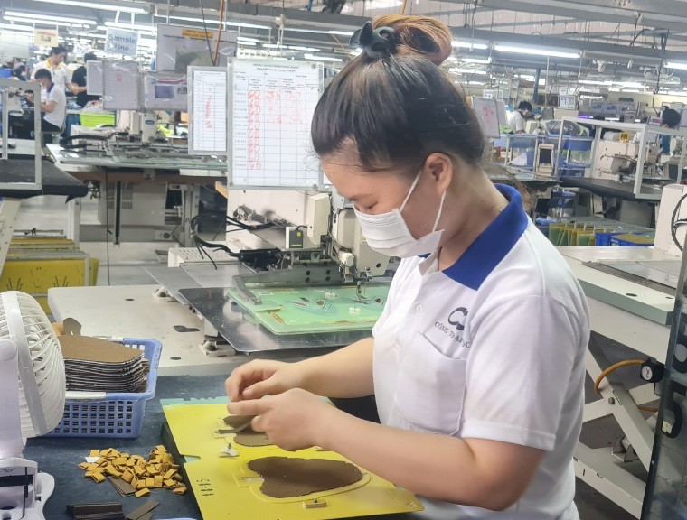 Bình Phước tăng cường giải quyết việc làm, nâng cao chất lượng nguồn lao động