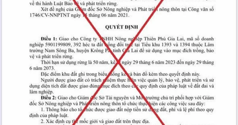 Gia Lai Văn bản cấp gần 400ha rừng cho doanh nghiệp là giả mạo