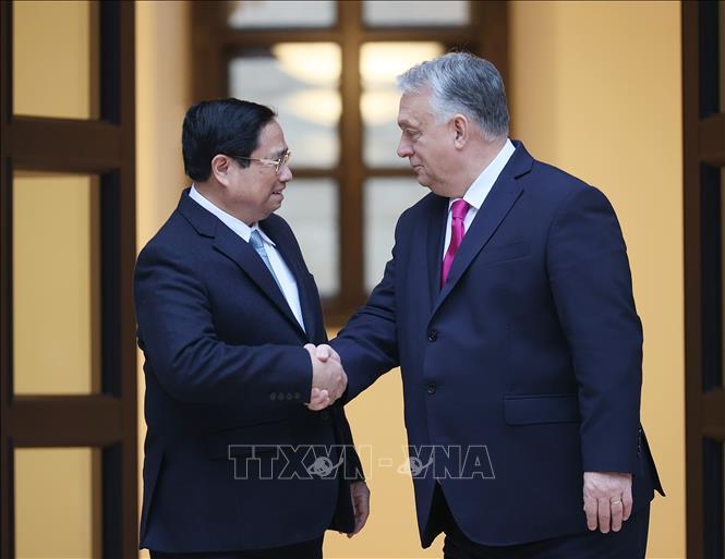 Đưa quan hệ Đối tác toàn diện Việt Nam - Hungary lên tầm cao mới