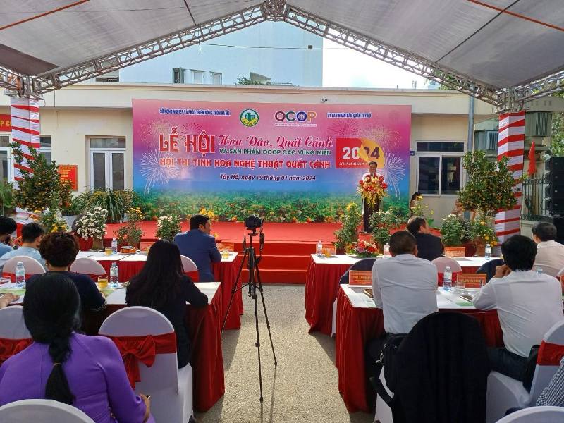 Hà Nội lần đầu tiên tổ chức Hội thi hoa đào, quất cảnh truyền thống