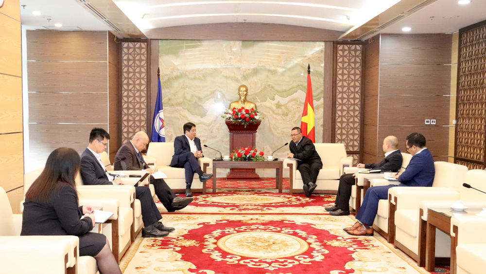 Tổng giám đốc EVN tiếp và làm việc với Giám đốc điều hành Siemens Energy Việt Nam