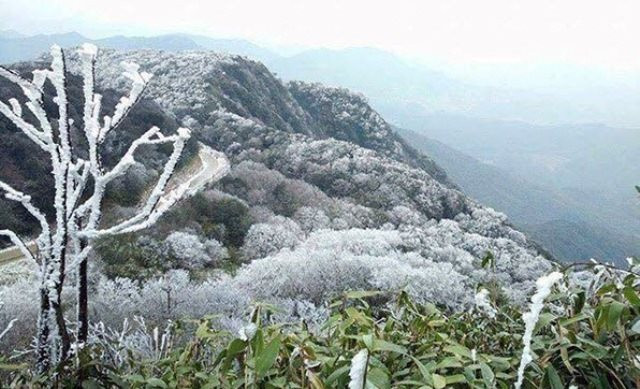 Miền Bắc bước vào đỉnh điểm rét đậm, có nơi xuất hiện mưa tuyết và băng giá