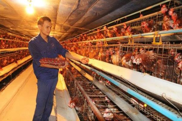 Tuyên Quang Chủ động ứng phó với rét đậm, rét hại kéo dài