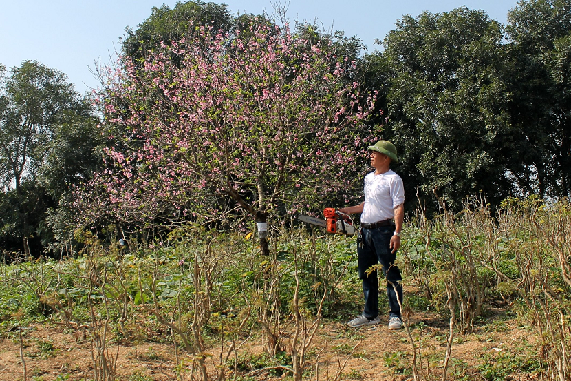 Làm giàu từ vùng đất đồi sỏi đá Bỉm Sơn