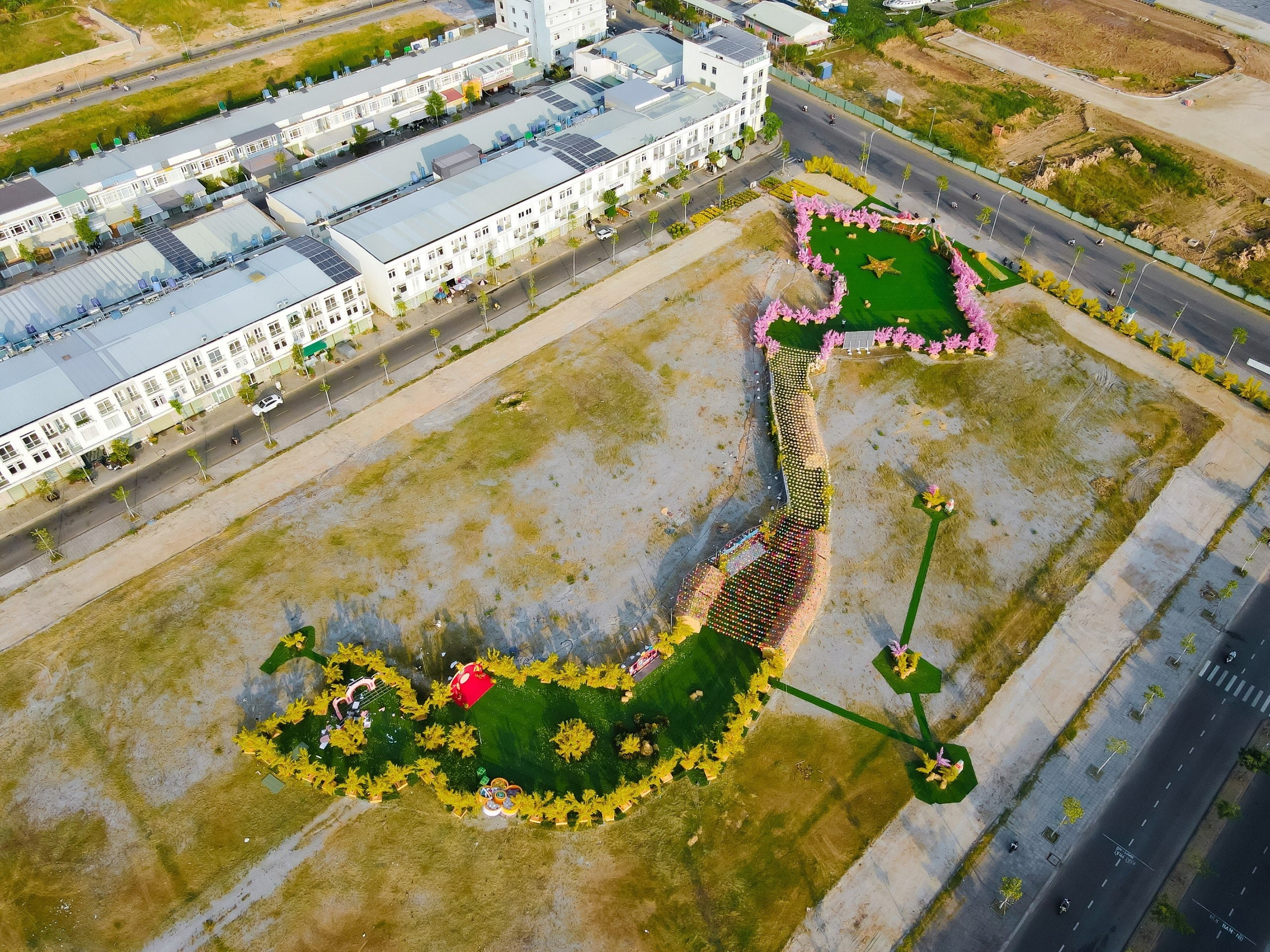 Ấn tượng đường mai hình bản đồ Việt Nam ở Kiên Giang