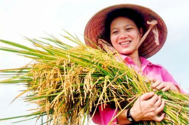 Hội Nông dân Việt Nam làm tốt sứ mệnh vẻ vang của giai cấp