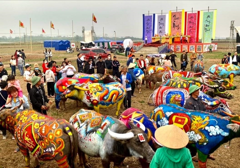 Những chú trâu “khoác áo gấm” ở Lễ hội Tịch điền Đọi Sơn