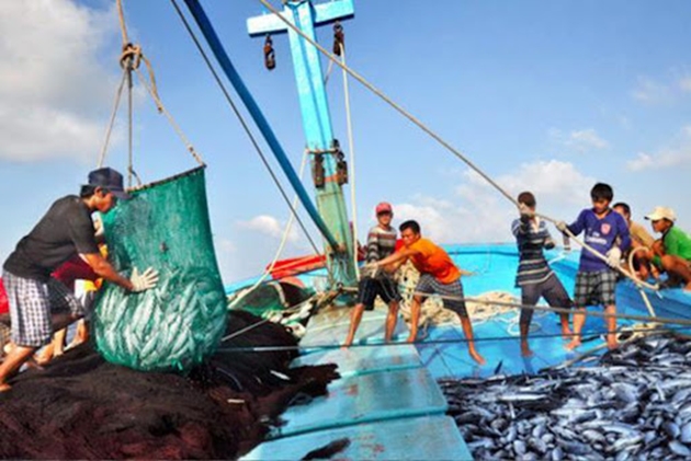 Thực hiện các giải pháp cấp bách, trọng tâm về IUU