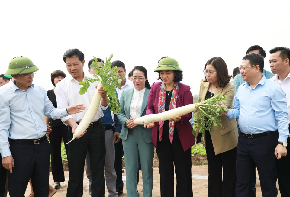 ​Hà Nội đặc biệt quan tâm phát triển nông nghiệp, hướng tới nâng cao đời sống nông dân