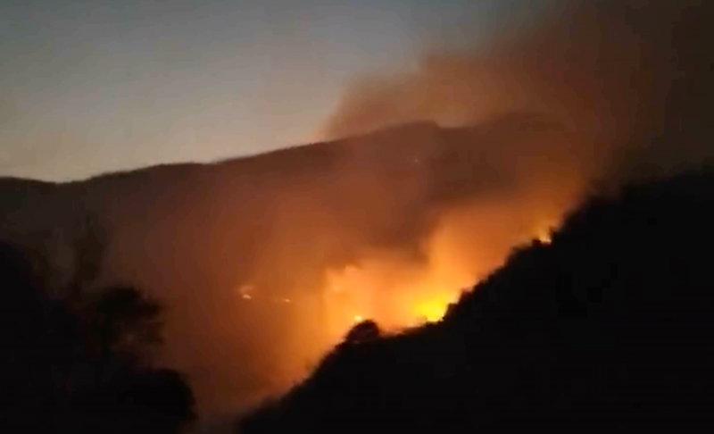 Vụ cháy rừng ở Vườn Quốc gia Hoàng Liên Lại phát sinh đám cháy mới