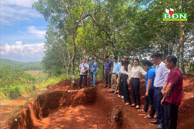 Cấp phép khai quật khảo cổ tại tỉnh Đắk Nông