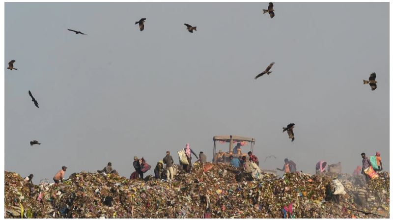 Cảnh báo tác động thảm khốc của việc gia tăng lượng rác thải toàn cầu