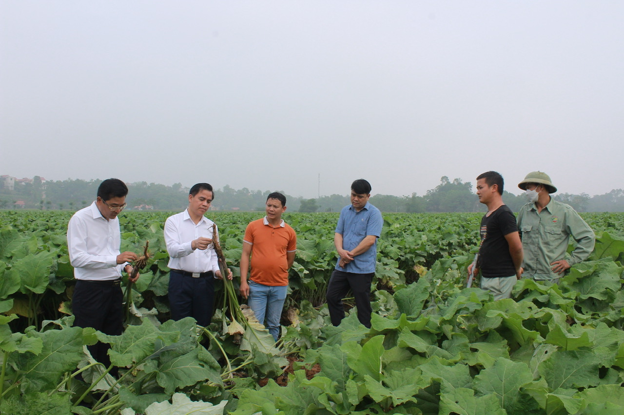 Tam Nông Hạnh phúc của Nhân dân là đích đến khi xây dựng Nông thôn mới