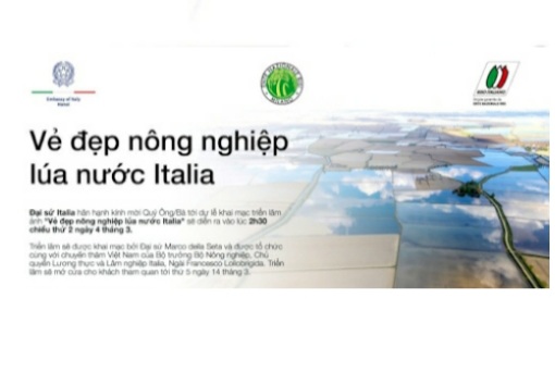 Triển lãm “Vẻ đẹp nông nghiệp lúa nước Italia”