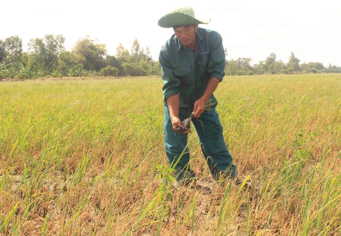 Sóc Trăng Nhiều giải pháp ứng phó hạn, mặn xâm nhập