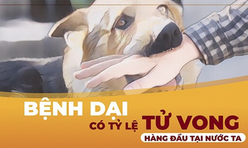 Tăng cường các biện pháp phòng, chống bệnh dại