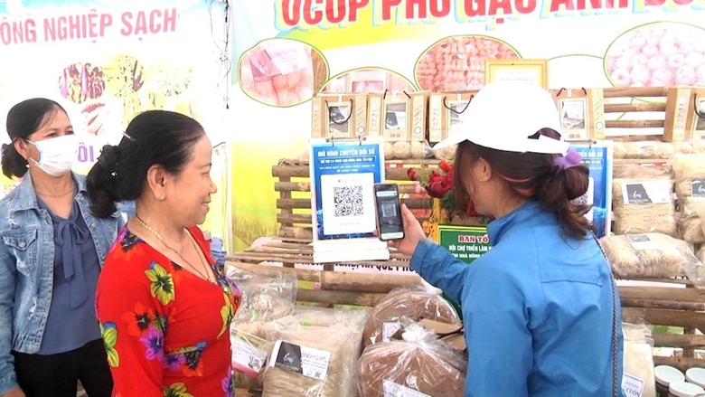 Quảng Nam Quyết liệt thực hiện hiệu quả các nhiệm vụ trọng tâm về chuyển đổi số