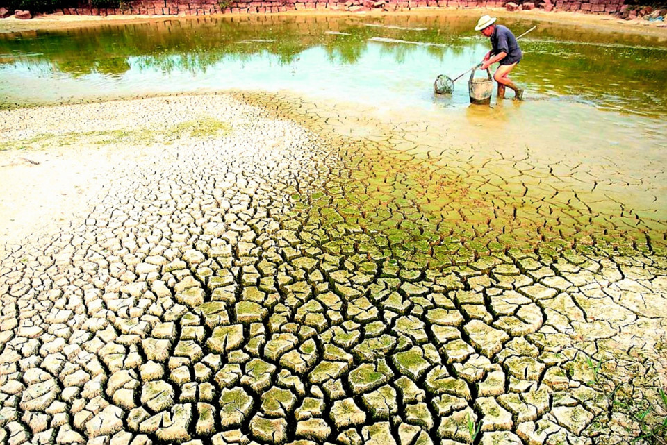 Tập trung ứng phó đợt xâm nhập mặn cao điểm tại Đồng bằng sông Cửu Long