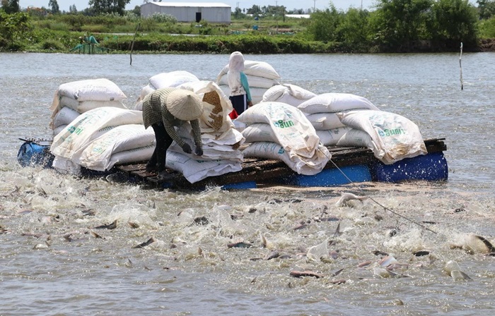 Hợp tác hỗ trợ các giải pháp nông nghiệp phát thải thấp ở ĐBSCL