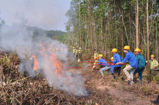 Mạnh tay với giặc lửa để giữ rừng trong mùa khô
