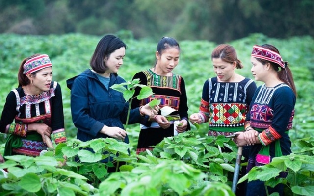 Hội Nông dân Việt Nam triển khai nhiều phong trào thi đua