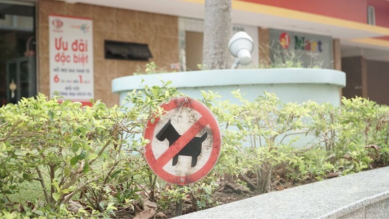 Pháp luật có quy định về nuôi chó, mèo trong chung cư