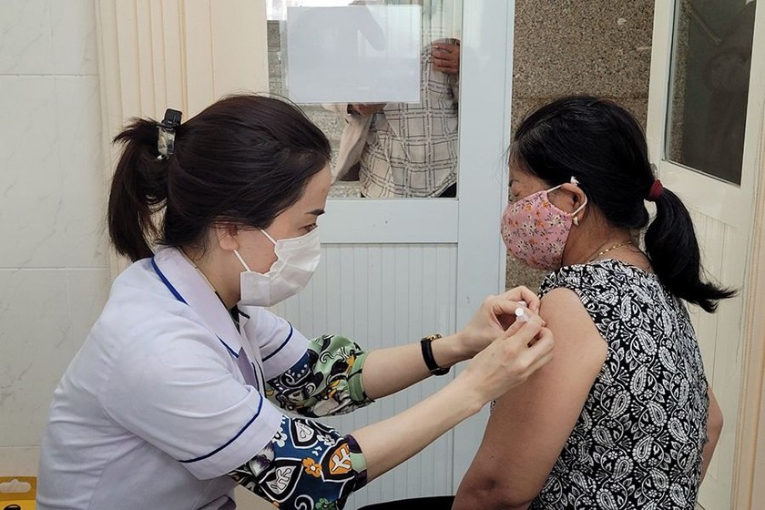 Cẩn trọng với nguy cơ lây bệnh dại từ chó, mèo