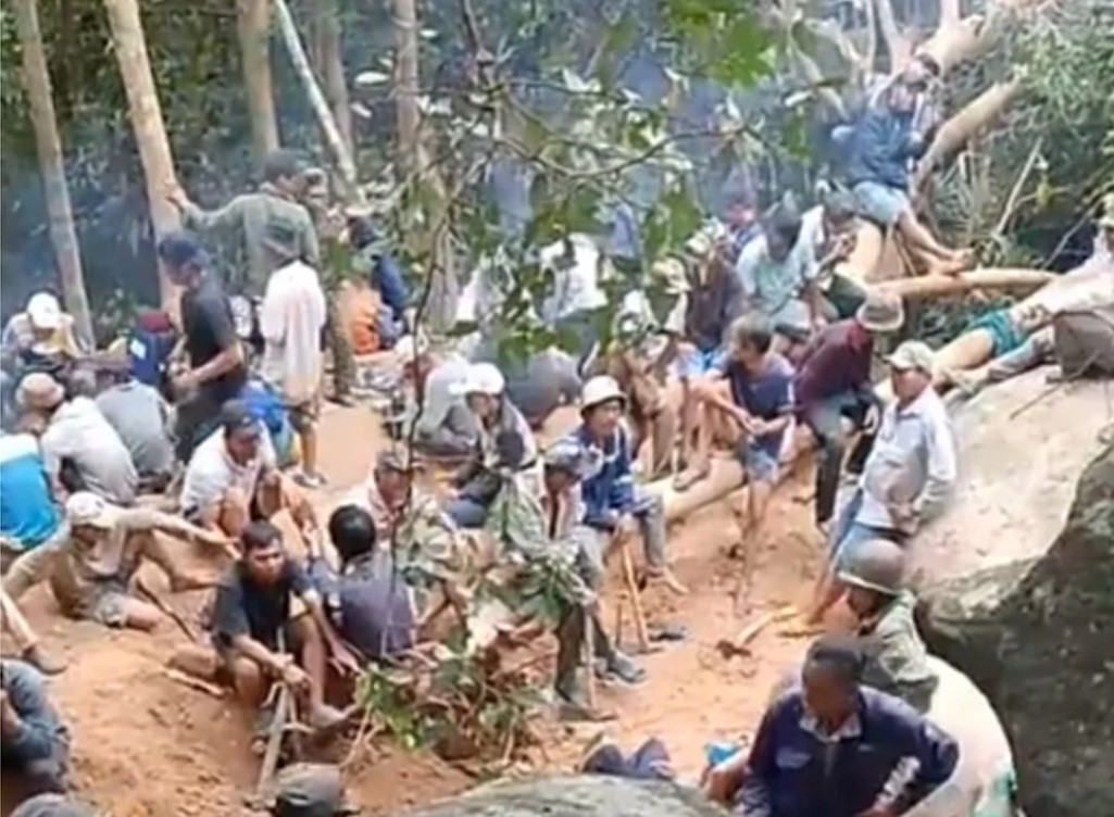 Thông tin người đào được kỳ nam trị giá 10 tỷ đồng là không chính xác