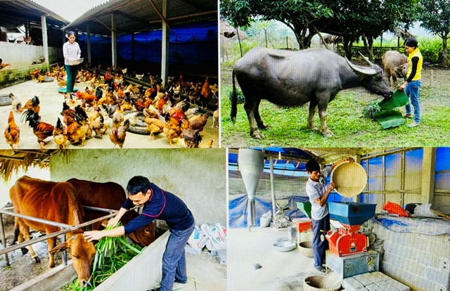 Sức sống mới trên miền Trung du Phú Thọ