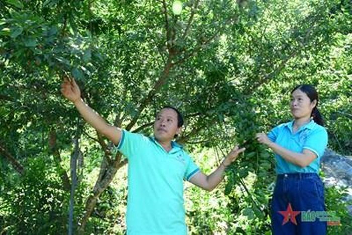 Niềm tự hào của đồng bào Mông ở Si Ma Cai