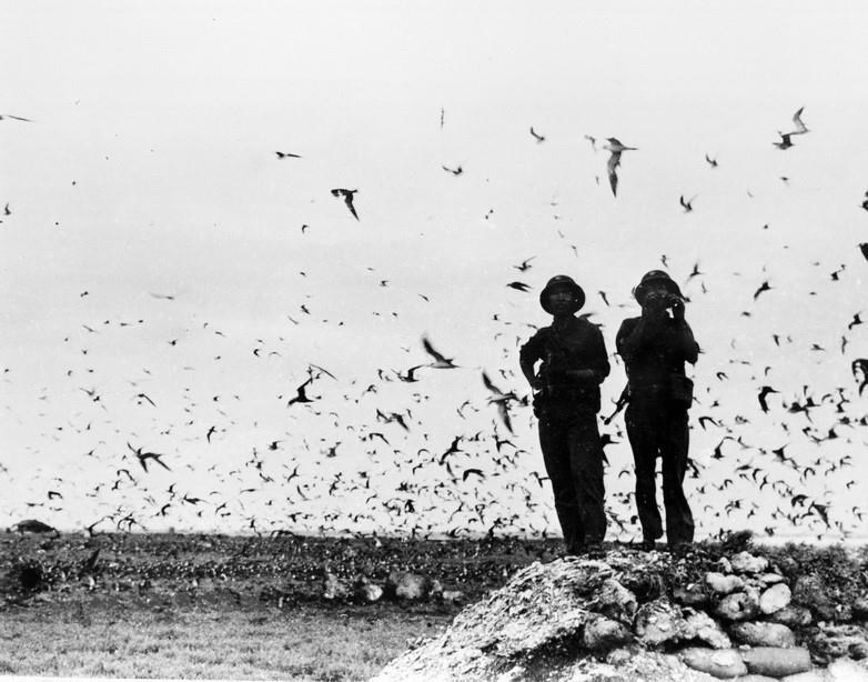 Ngày này năm xưa 29 4