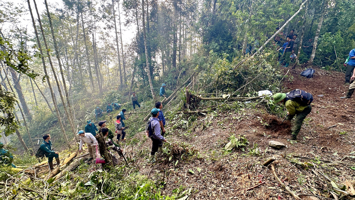 Hà Giang Hơn 1 nghìn người tập trung chữa cháy rừng trên đỉnh Tây Côn Lĩnh