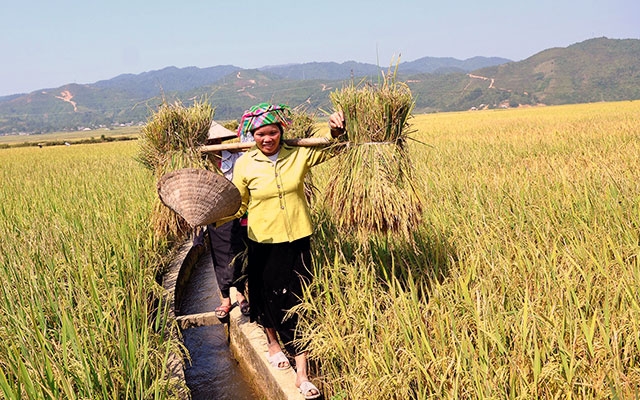 2026 là Năm quốc tế phụ nữ làm nông nghiệp