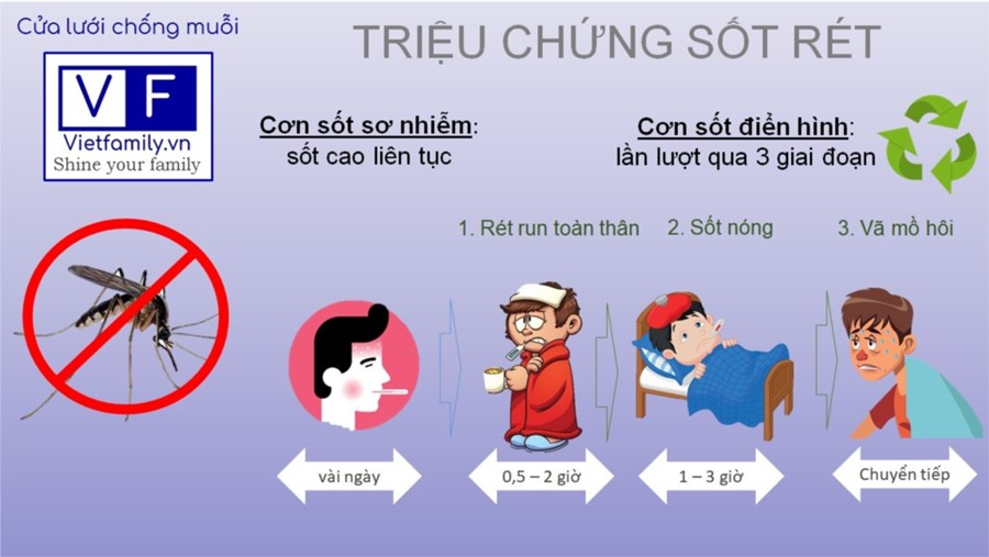 10 lời khuyên hữu ích giúp giảm nguy cơ mắc bệnh sốt rét