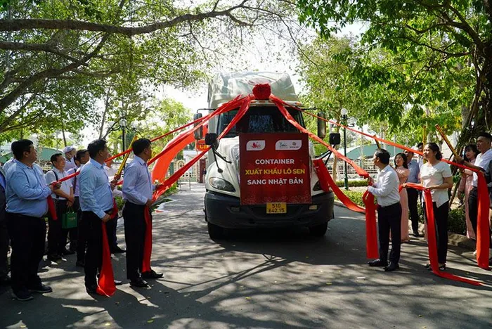 Đồng Tháp Lần đầu tiên xuất khẩu 15 tấn củ sen sang Nhật Bản