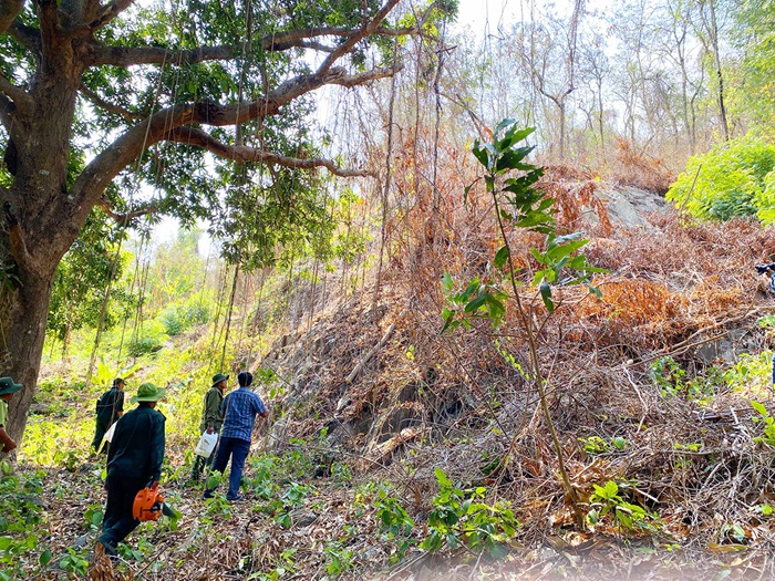 An Giang ứng trực 24 24 giờ phòng chống cháy rừng