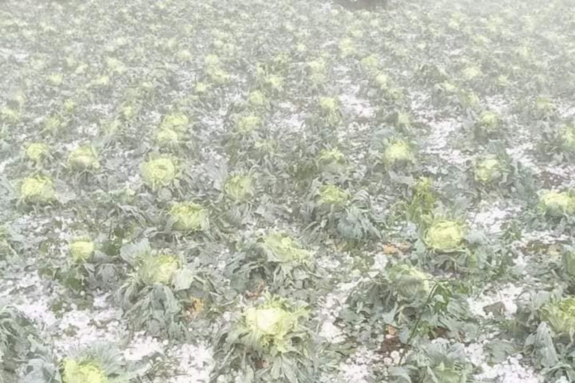 Hòa Bình Thiên tai gây thiệt hại hơn 53,2 tỷ đồng