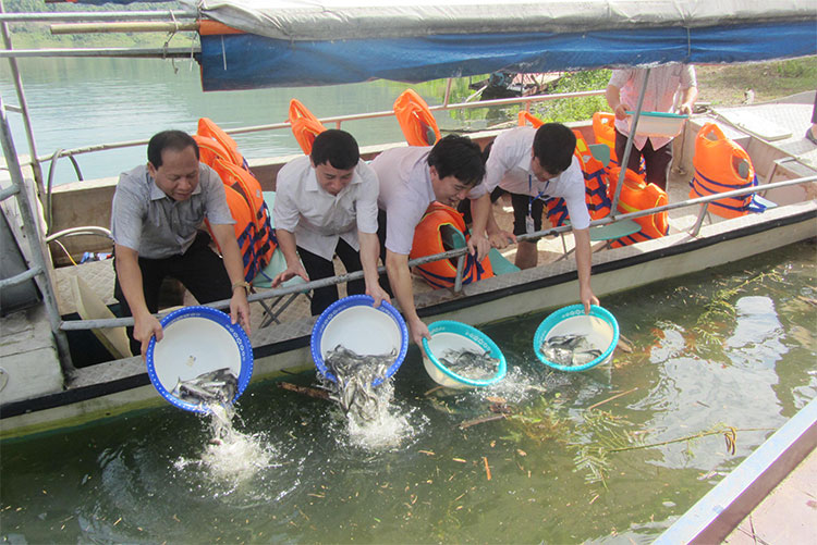Phê duyệt Quy hoạch bảo vệ và khai thác nguồn lợi thủy sản thời kỳ 2021 - 2030, tầm nhìn đến năm 2050