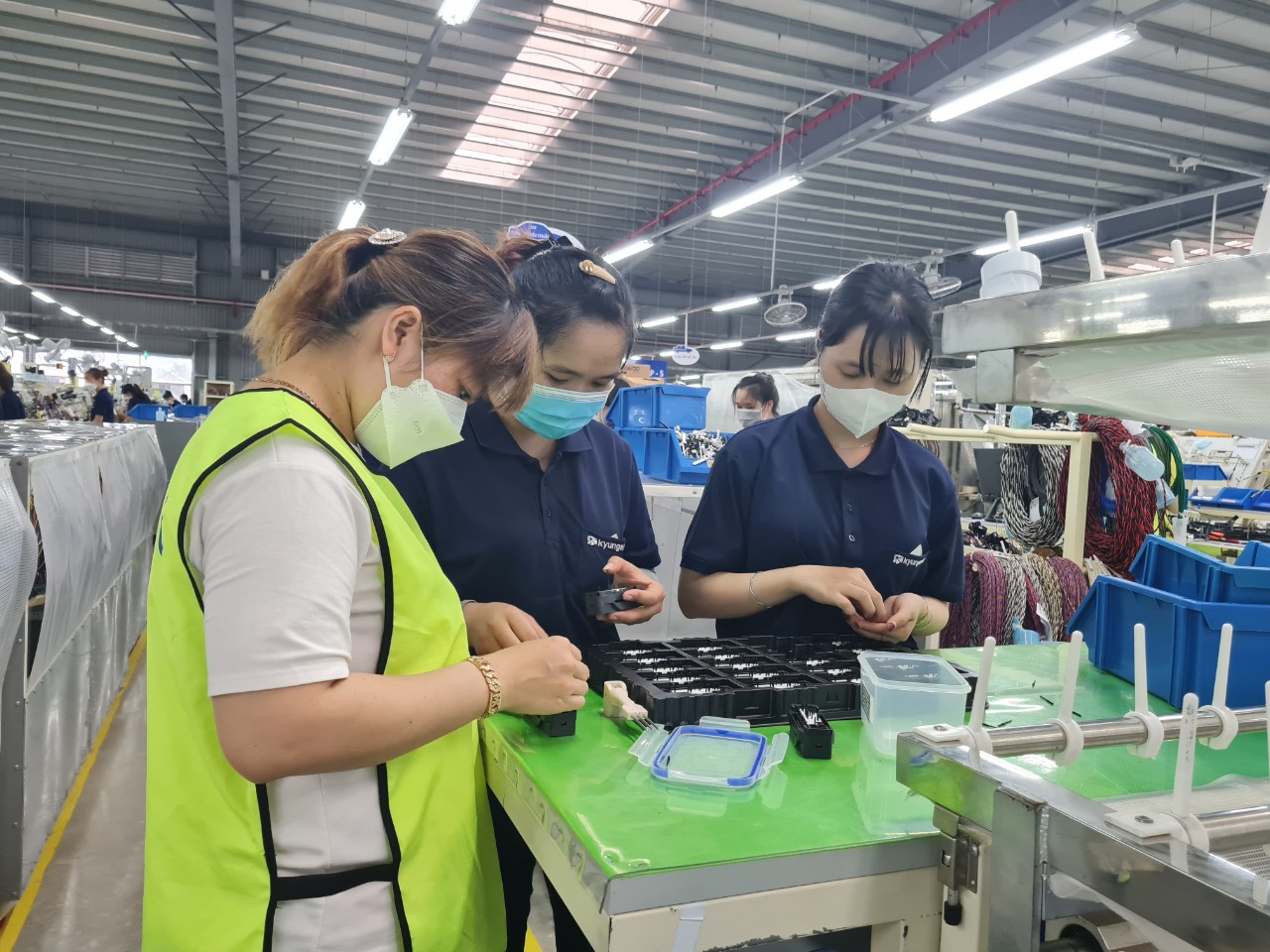 Long An Thu ngân sách đạt trên 50 dự toán